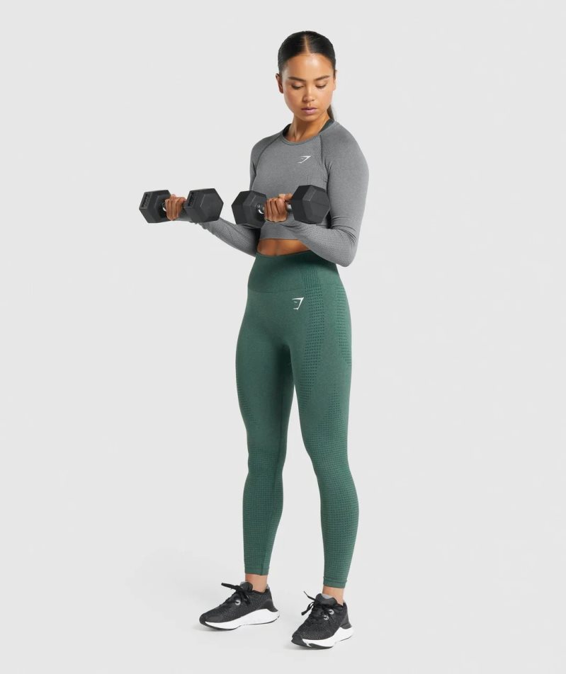 Przycięte Topy Gymshark Vital Seamless 2.0 Long Sleeve Damskie Szare | PL 412ILV